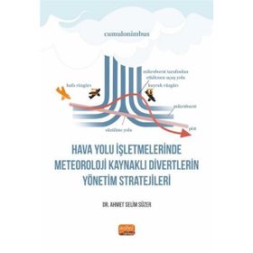 Hava Yolu İşletmelerinde Meteoroloji Kaynaklı Divertlerin Yönetim Stratejileri Nobel Bilimsel Eserler