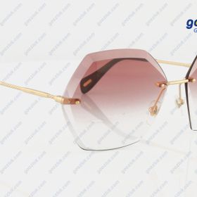 Hawk HW 1688 05 Kadın Güneş Gözlüğü