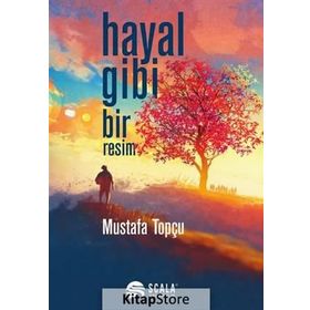Hayal Gibi Bir Resim - Mustafa Topçu
