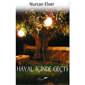 Hayal İçinde Geçti - Nurcan Elver