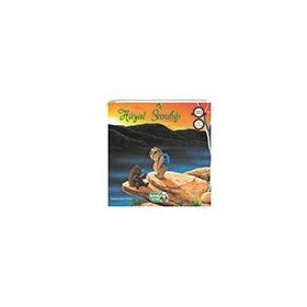 Hayal Sandığı Bambu Kitap