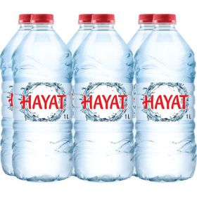 Hayat 1 lt Su