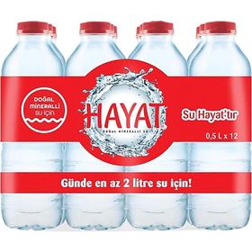 Hayat 500 ml Pet Şişe Su