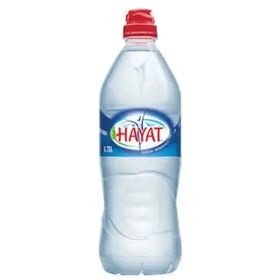 Hayat 750 ml Sporcu Pet Su