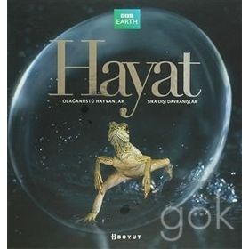 HAYAT - BÜLENT ÖZÜKAN