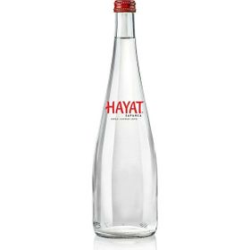 Hayat Cam 750 ml Su