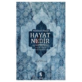 HAYAT NEDIR? - MEHMED ALI AYNI