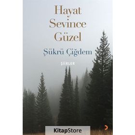 Hayat Sevince Güzel - Şükrü Çiğdem