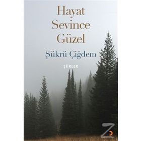 Hayat Sevince Güzel - Şükrü Çiğdem