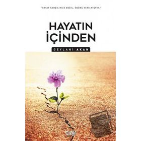 Hayatın İçinden Geylani Akan Çığır Yayınları