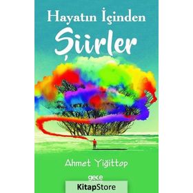 Hayatın İçinden Şiirler - Ahmet Yiğittop
