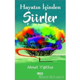 Hayatın İçinden Şiirler - Ahmet Yiğittop