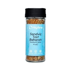 Hayfene 45 gr Sandviç & Tost Baharatı