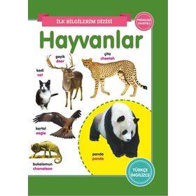 Hayvanlar – İlk Bilgilerim Dizisi - 0-6 Yaş Yayınları