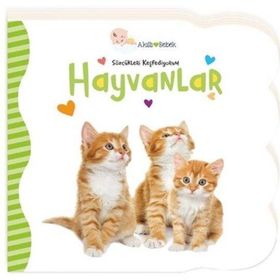 Hayvanlar Sözcükleri Keşfediyorum Akıllı Bebek - Beta Kids