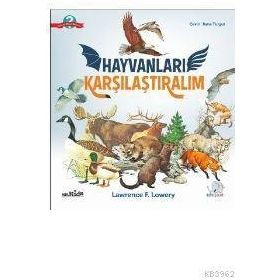 Hayvanları Karşılaştıralım - Lawrence F. Lowery