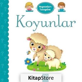 Hayvanları Tanıyalım - Koyunlar - Emilie Belineau