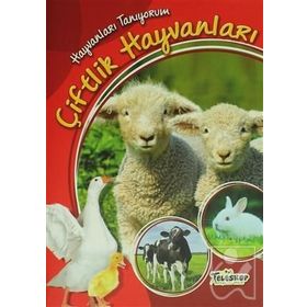 Hayvanları Tanıyorum - Çiftlik Hayvanları - kollektif
