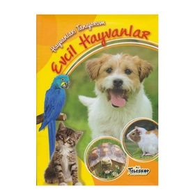 Hayvanları Tanıyorum - Evcil Hayvanlar - kollektif