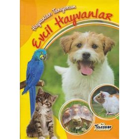 Hayvanları Tanıyorum - Evcil Hayvanlar - kollektif
