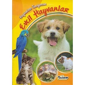 Hayvanları Tanıyorum - Evcil Hayvanlar - kollektif