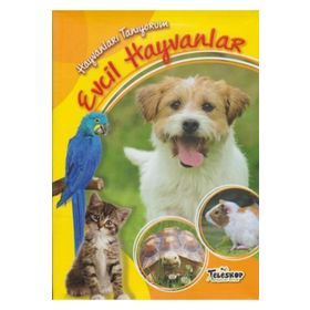 Hayvanları Tanıyorum - Evcil Hayvanlar - kollektif