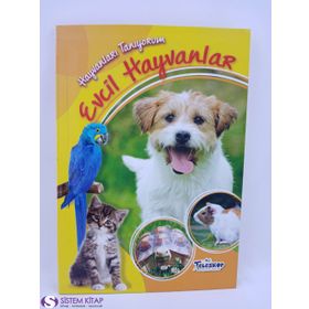 Hayvanları Tanıyorum - Evcil Hayvanlar - kollektif