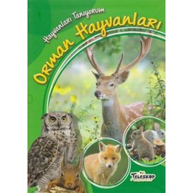 Hayvanları Tanıyorum - Orman Hayvanları - kollektif