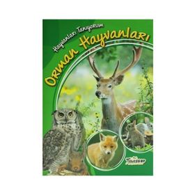 Hayvanları Tanıyorum - Orman Hayvanları - kollektif