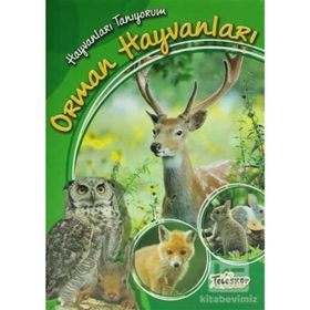 Hayvanları Tanıyorum - Orman Hayvanları - kollektif