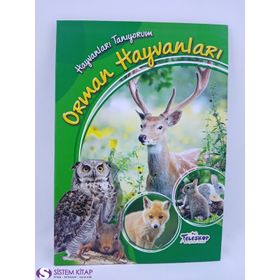 Hayvanları Tanıyorum - Orman Hayvanları - kollektif