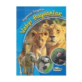 Hayvanları Tanıyorum - Vahşi Hayvanlar - kollektif