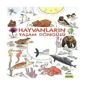 Hayvanların Yaşam Döngüsü Elma Yayınevi