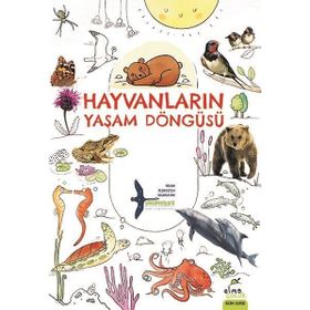 Hayvanların Yaşam Döngüsü Elma Yayınevi