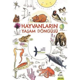 Hayvanların Yaşam Döngüsü Elma Yayınevi