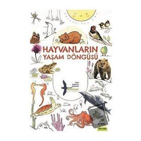 Hayvanların Yaşam Döngüsü - Takımyıldız