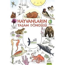 Hayvanların Yaşam Döngüsü - Takımyıldız