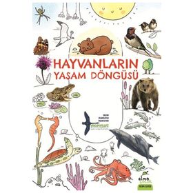 Hayvanların Yaşam Döngüsü - Takımyıldız