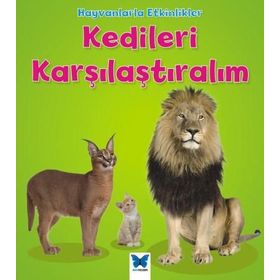 Hayvanlarla Etkinlikler - Kedileri Karşılaştıralım - Tracey Steffora