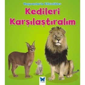 Hayvanlarla Etkinlikler - Kedileri Karşılaştıralım - Tracey Steffora