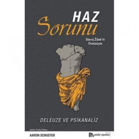 Haz Sorunu - Aaron Schuster