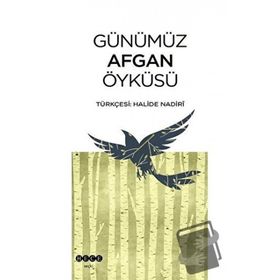 Hece Yayınları Günümüz Afgan Öyküsü