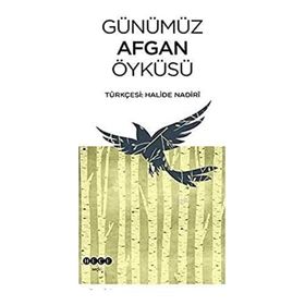Hece Yayınları Günümüz Afgan Öyküsü