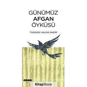 Hece Yayınları Günümüz Afgan Öyküsü