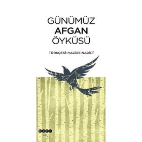 Hece Yayınları Günümüz Afgan Öyküsü