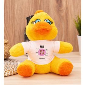 Hediye Dükkanı Kişiye Özel Balık Burcuna Hediye Peluş Civciv