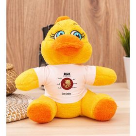 Hediye Dükkanı Kişiye Özel Başak Burcuna Hediye Peluş Civciv