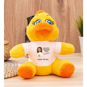 Hediye Dükkanı Kişiye Özel Ruh Eşimi Nasıl Bulayım Esprili Peluş Civciv