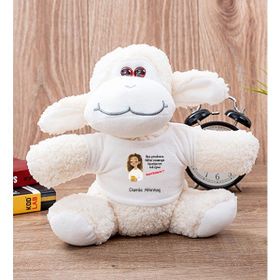 Hediye Dükkanı Kişiye Özel Ruh Eşimi Nasıl Bulayım Esprili Peluş Koyun