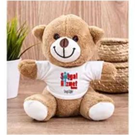 Hediye Dükkanı Kişiye Özel Sosyal Hizmet Uzmanı Peluş Ayı